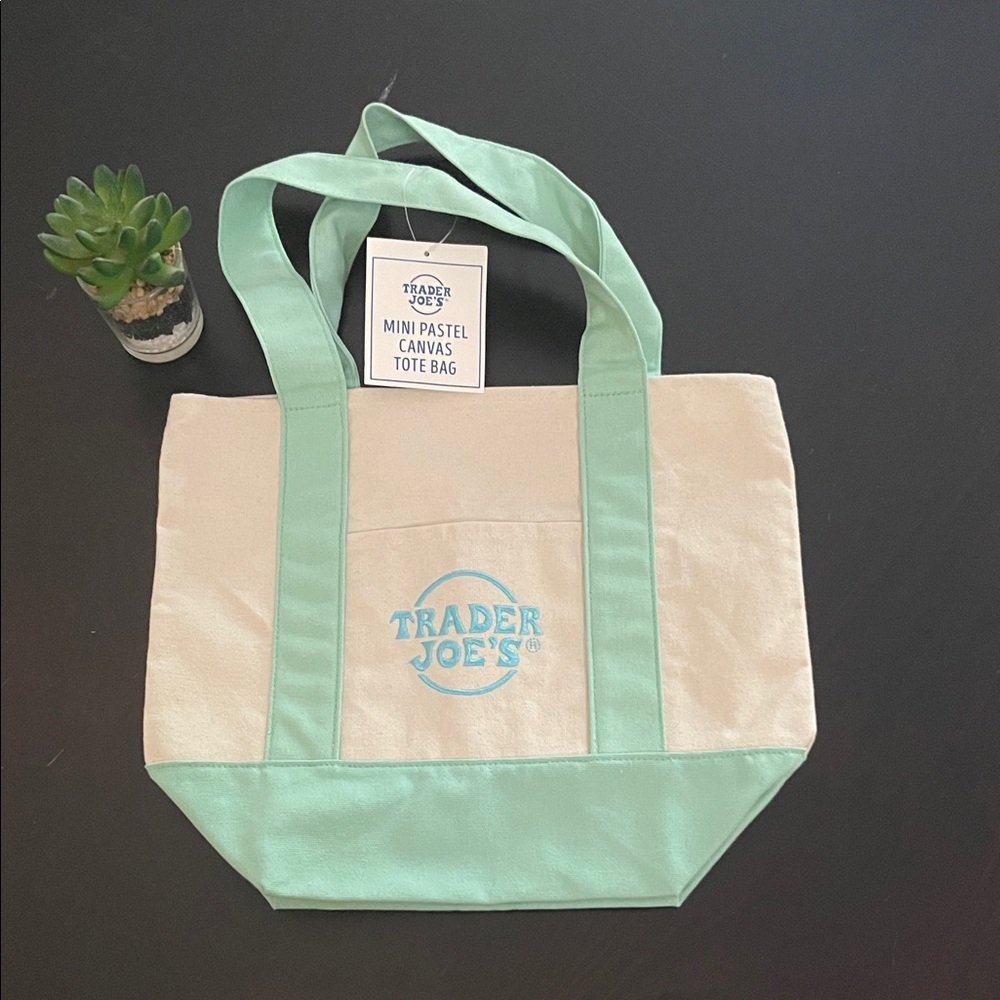 Trader Joe's Mini Mint Canvas Tote